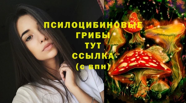 ПСИЛОЦИБИНОВЫЕ ГРИБЫ Абдулино