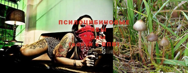 ПСИЛОЦИБИНОВЫЕ ГРИБЫ Абдулино