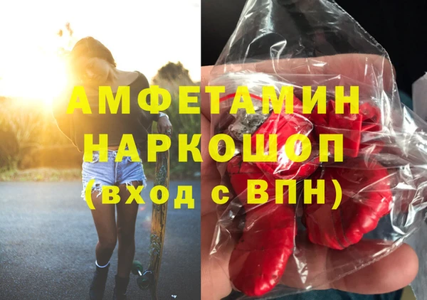 PSILOCYBIN Алзамай