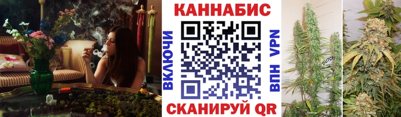 Шишки марихуана MAZAR  где купить   Ливны 